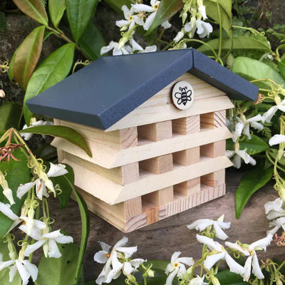 Apples To Pears®. Gift In A Tin. Bee Hotel - timeframedclocks