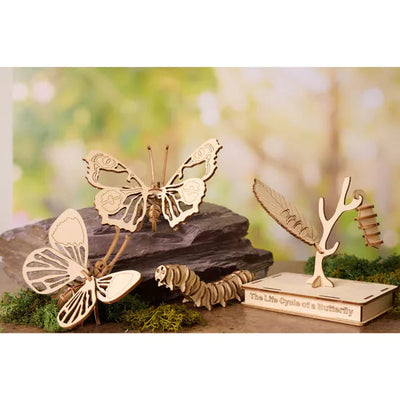 Apples To Pears®. Gift In A Tin. Cycle Of A Butterfly *NEW* - timeframedclocks