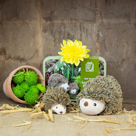 Apples To Pears®. Gift In A Tin. Sew Me Up Hedgehog & Hoglet - timeframedclocks