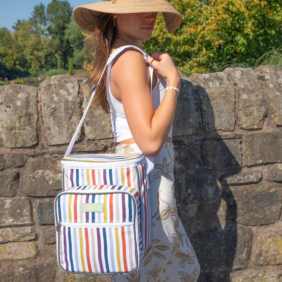 Insulated picnic bag online