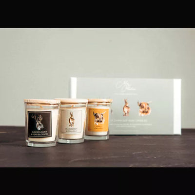 Meg Hawkins. Favourites Set Of 3 Mini Candle Gift Set *NEW* - timeframedclocks