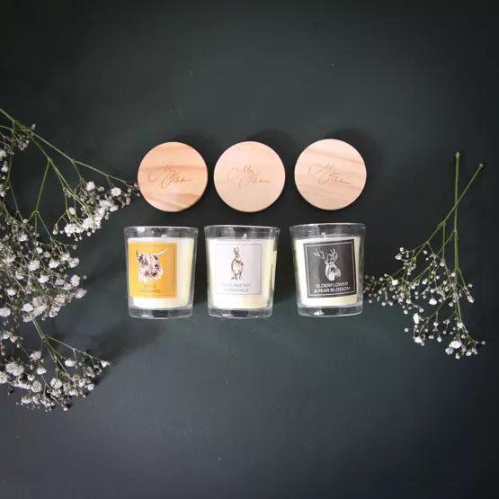 Meg Hawkins. Favourites Set Of 3 Mini Candle Gift Set *NEW* - timeframedclocks