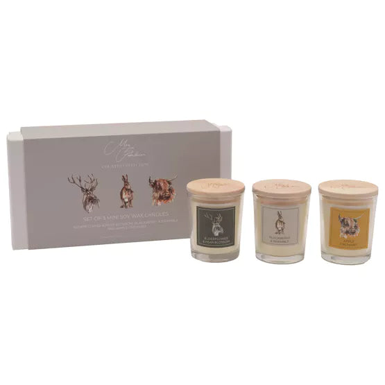 Meg Hawkins. Favourites Set Of 3 Mini Candle Gift Set *NEW* - timeframedclocks